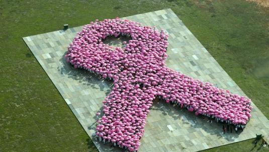 HPB's amazing record-breaking pink ribbon formation in 2012. 
